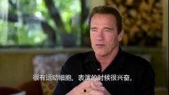 阿诺爆料视频大全最新版,揭秘娱乐圈幕后真相